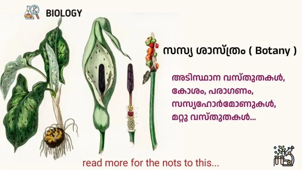 സസ്യശാസ്ത്രം botany